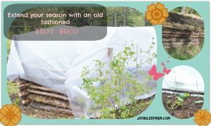 A photo collage of raised garden beds covered to protect it from winters chill.