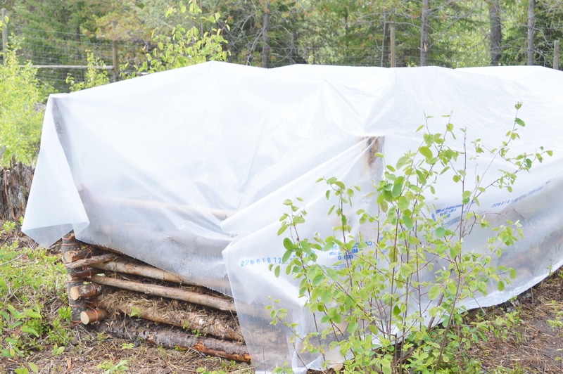 A raised garden bed covered to protect it from winters chill