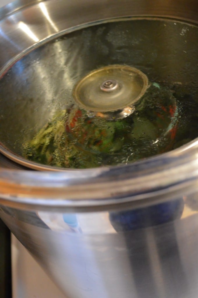 Essentail oil still 