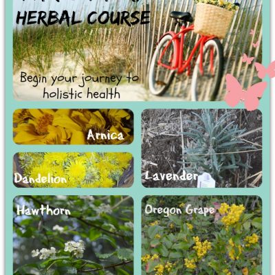 This could change your life.  Start building your herbal apothecary and learn about herbs now