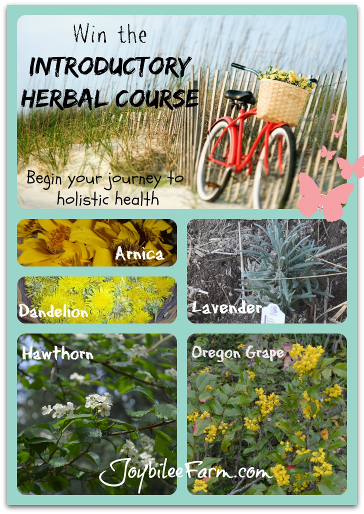 You could win the introductory Herbal Course