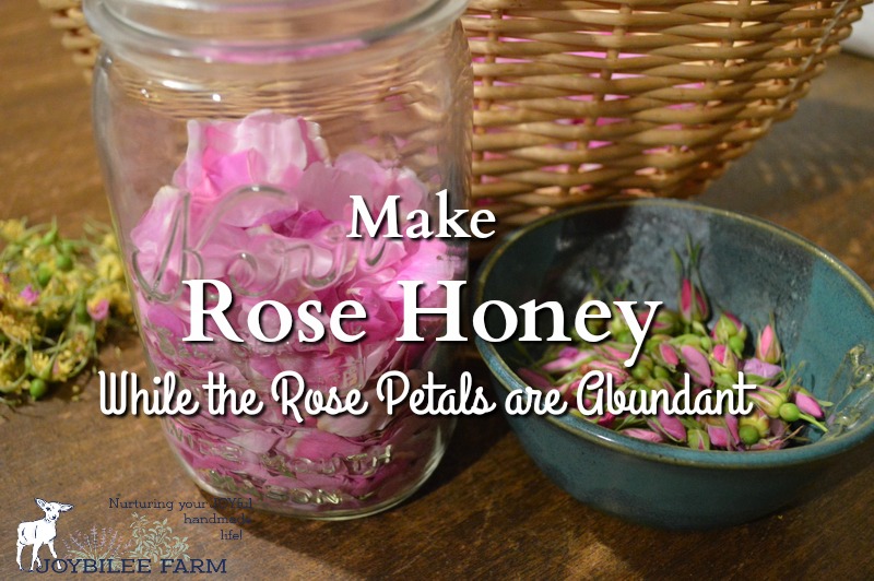Make rose honey while the roses are abundant