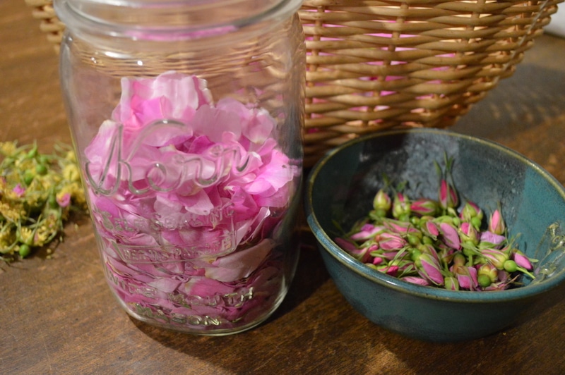 rose petals and rosebuds