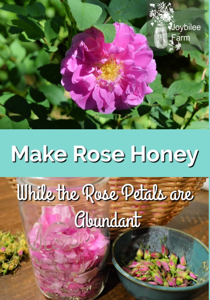 how to make rose honey