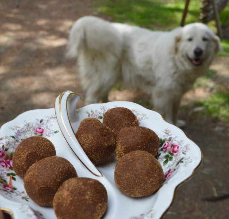 Zoom balls on a decorative plate and a dog in the background