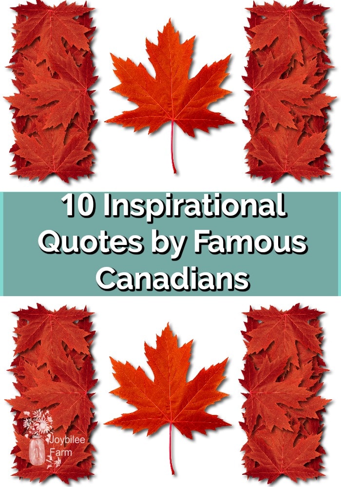 2 Canadian flags done with red maple leafs