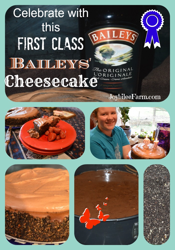 Baileys Chocolate' Cheesecake picture collage