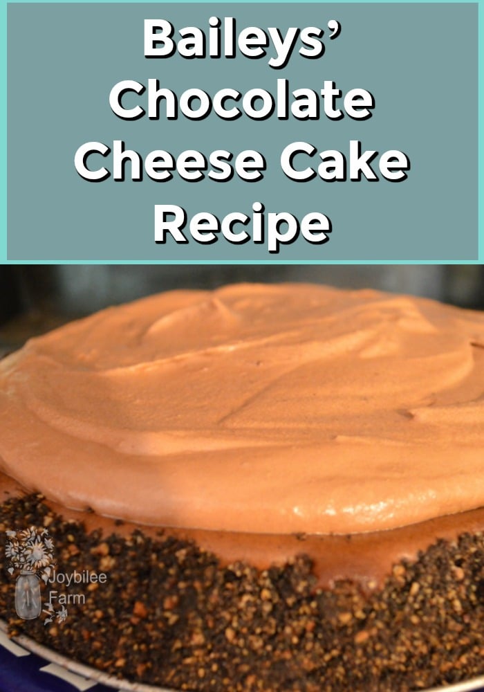 Baileys’ Chocolate Cheese Cake on a plate