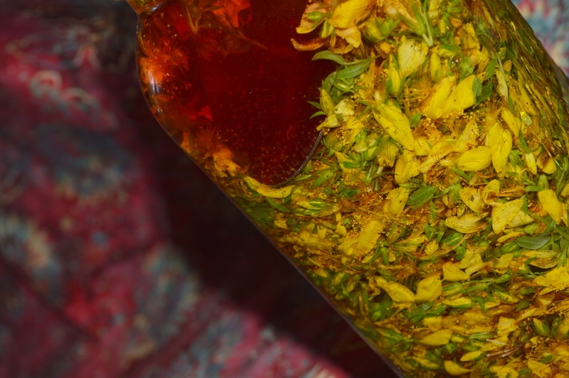 St Johns Wort Flower tincture