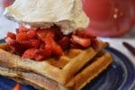 A plate with waffles, strawberries and whipped cream.