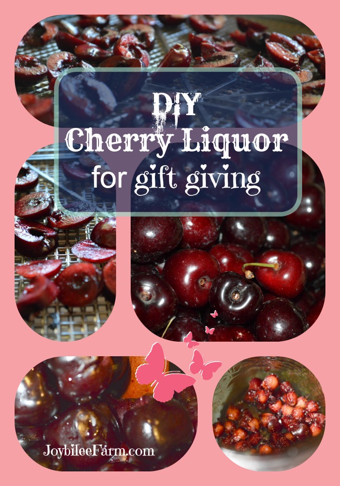 Photo collage of cherries - fresh, sliced, and pitted.
