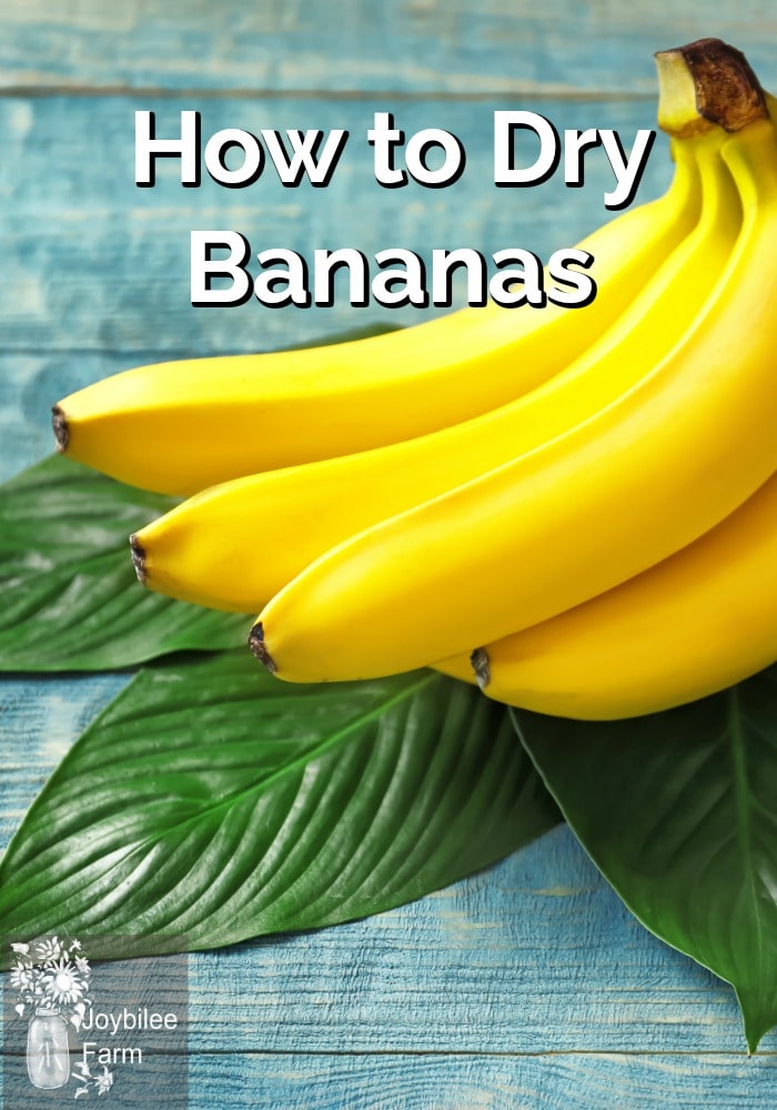 Fresh bananas on top of green banana leaves