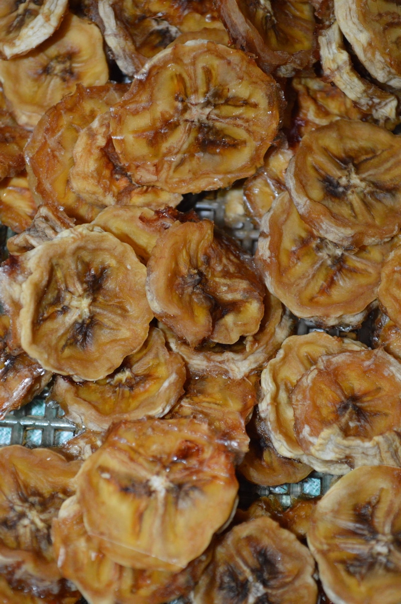 Learn how to dry fruit so that you can create natural candy from the bountiful fruit and berry harvest that your garden produces.