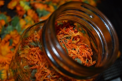 calendula dried