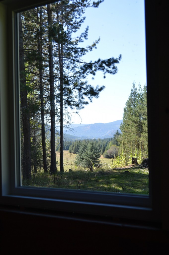 cottage window looking on pasture
