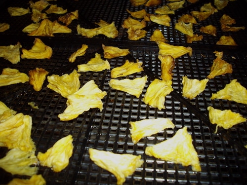 Learn how to dry fruit so that you can create natural candy from the bountiful fruit and berry harvest that your garden produces.