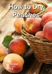 Fresh peaches in a wicker basket