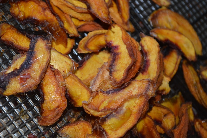 Learn how to dry fruit so that you can create natural candy from the bountiful fruit and berry harvest that your garden produces.
