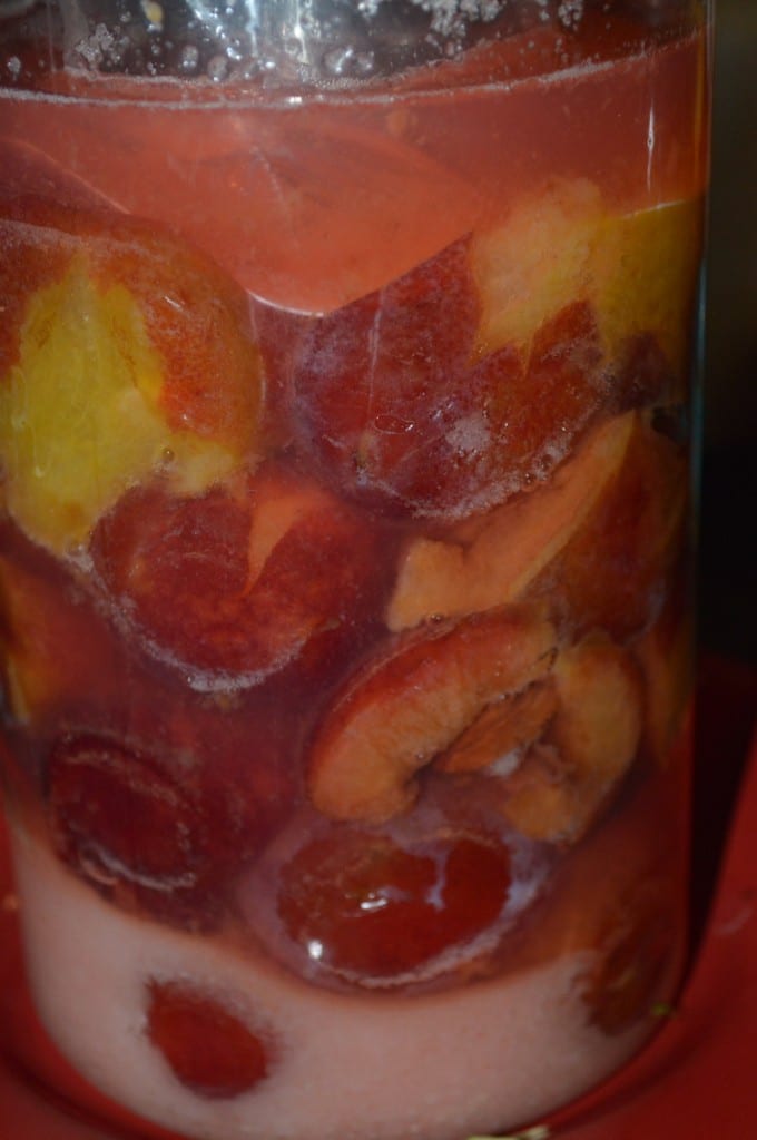 Plum ferment 2