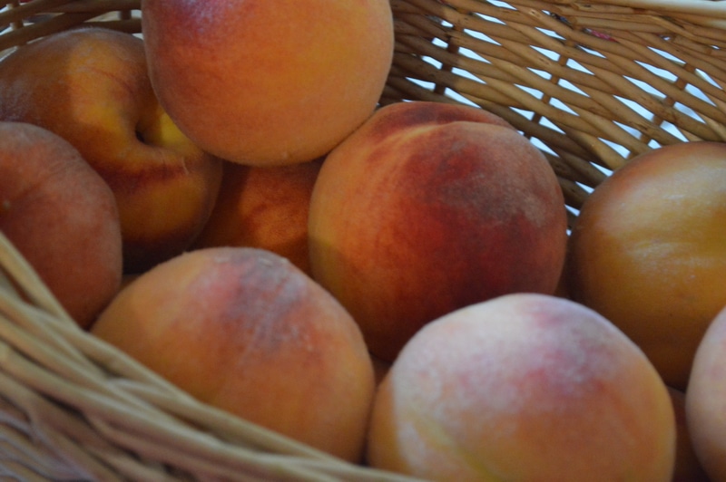 Fresh peaches in a basket