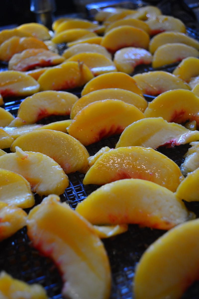 Learn how to dry fruit so that you can create natural candy from the bountiful fruit and berry harvest that your garden produces.