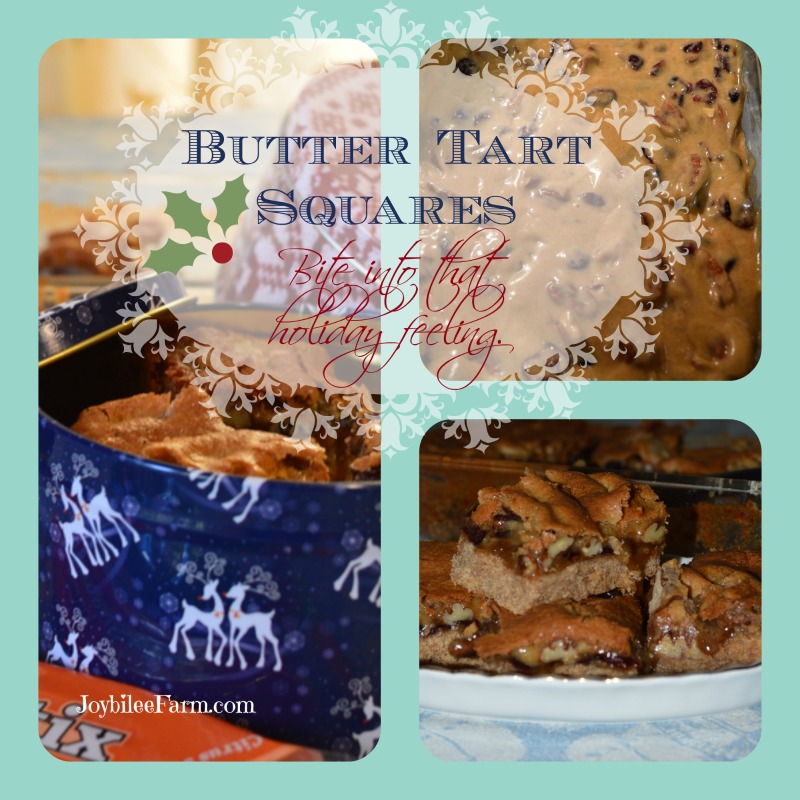 Butter Tart Square recipe - Joybilee Farm
