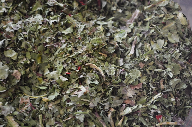 dried kale for greens powder supplement