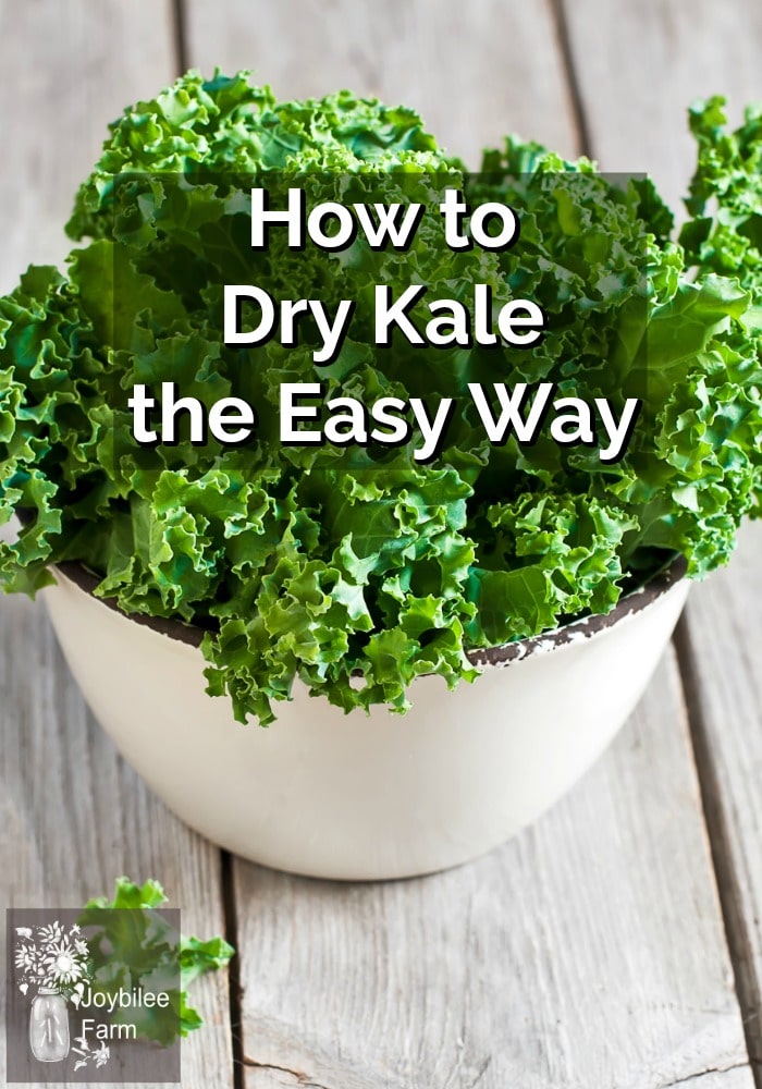 Fresh green kale in a white bowl