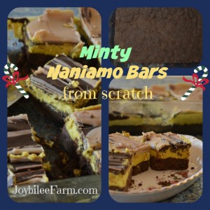minty Nanaimo bars