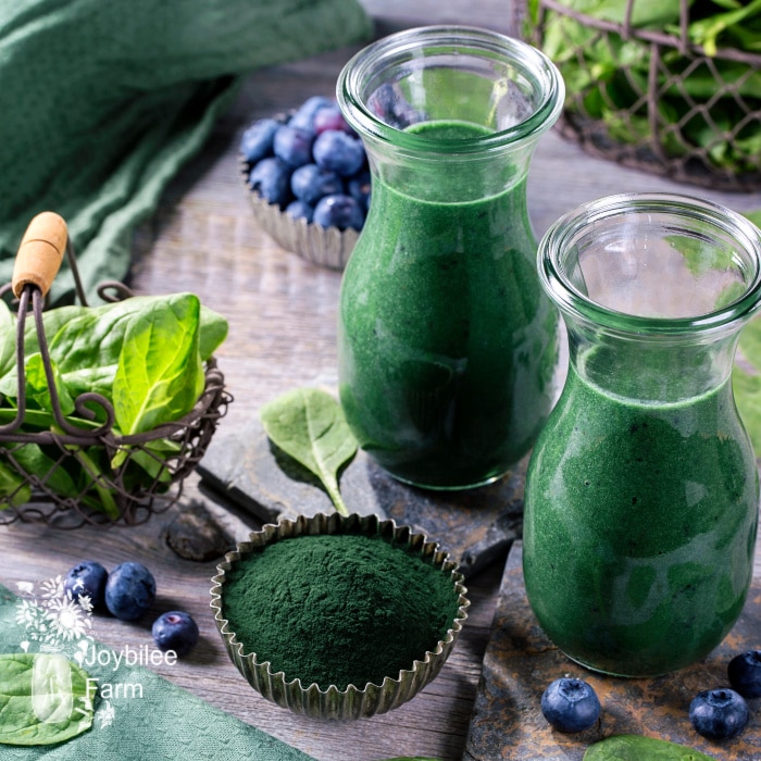 Green smoothie with spirulina,spinach and blueberries