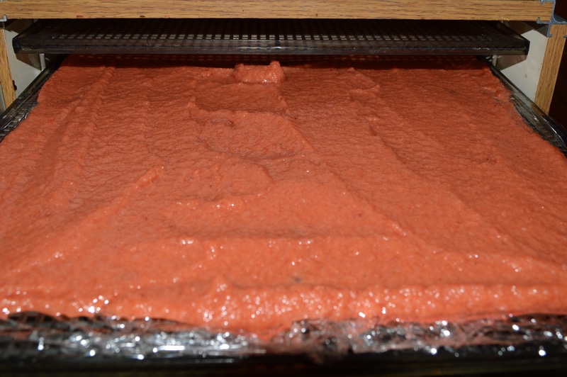 Crab apple fruit leather
