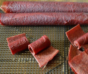 fruit leather