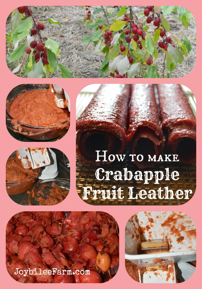 How to make Crabapple Fruit Leather -- Joybilee Farm