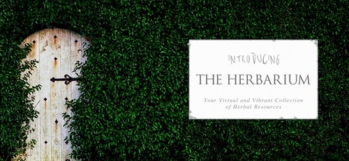 Herbarium door