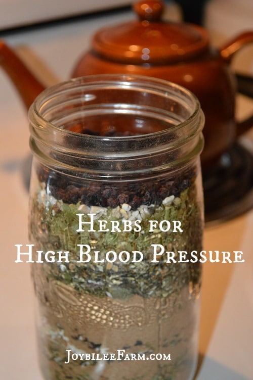 Herbs for High Blood Pressure -- Joybilee Farm