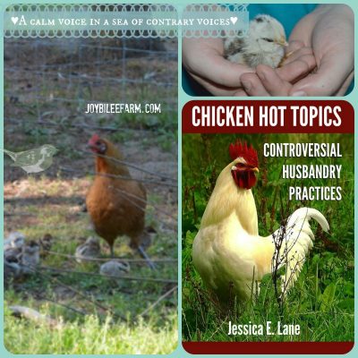 Raising your Backyard Chickens