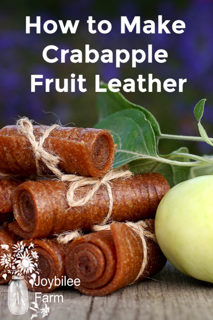 fruit leather bound with linen yarn next to an apple