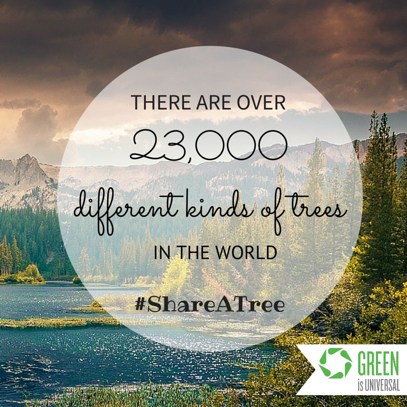 23,000different kinds of trees