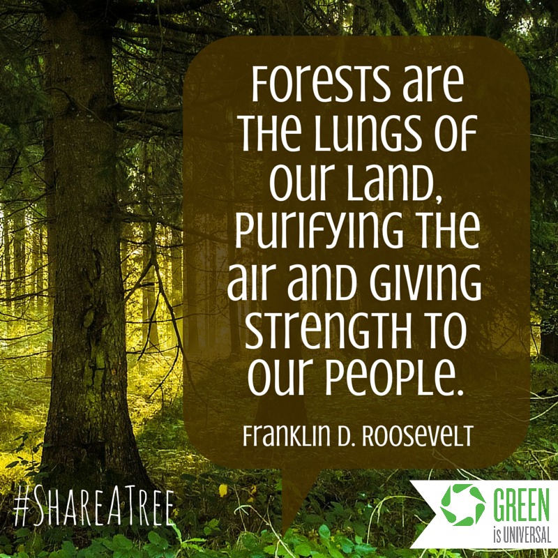 Share A Tree -- Joybilee Farm