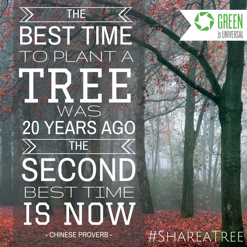 Share A Tree -- Joybilee Farm