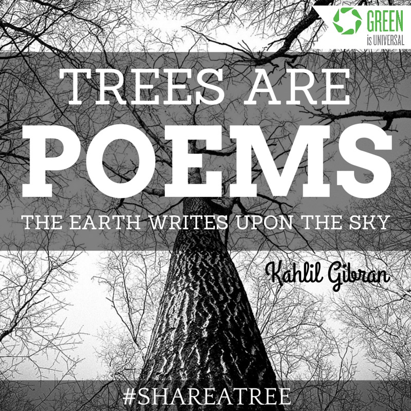 Share A Tree - Joybilee Farm