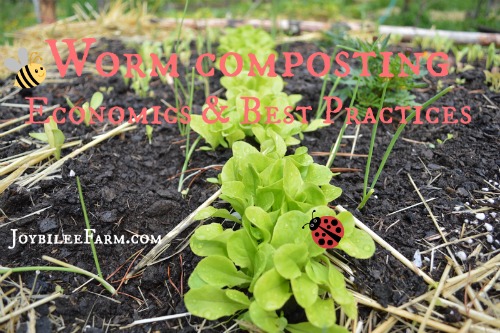 Worm Composting Best Practices -- Joybilee Farm