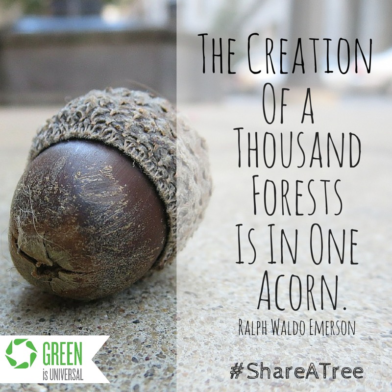 Share A Tree -- Joybilee Farm