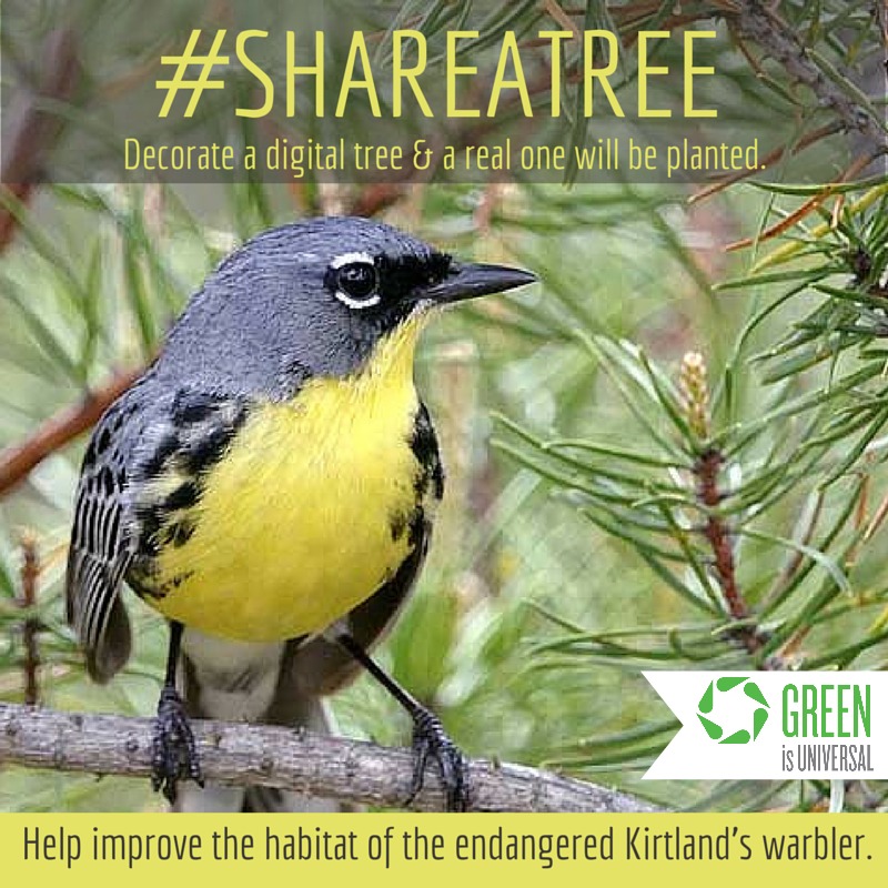 Share A Tree -- Joybilee Farm