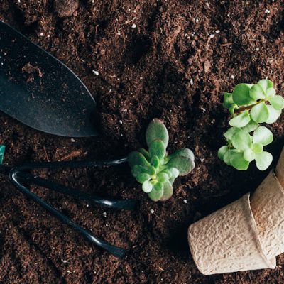 Worm Composting
