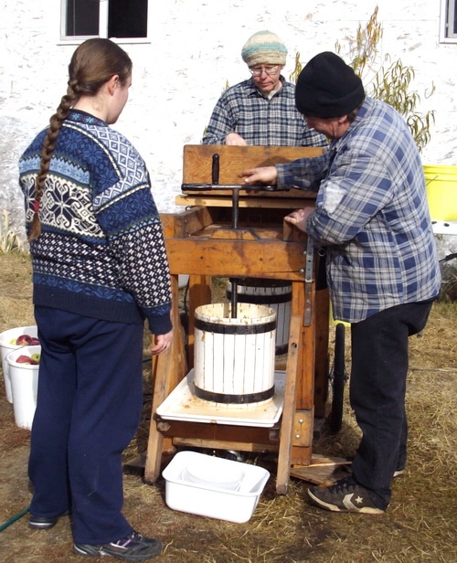 Apple cider pressing