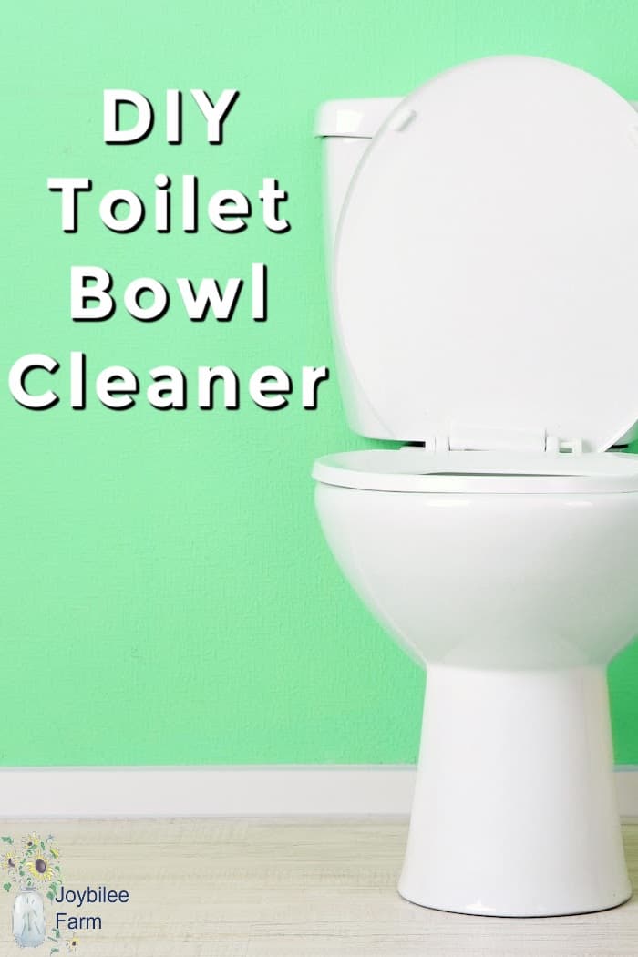 diy toilet bowl cleaner