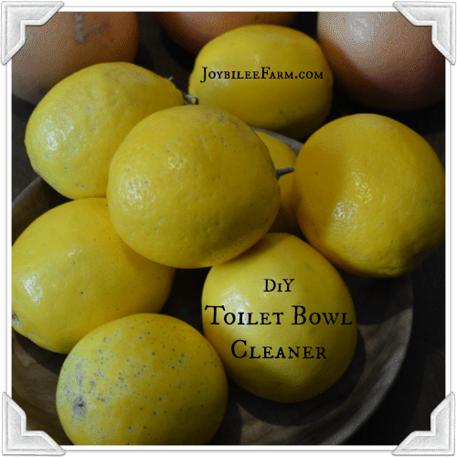 diy toilet bowl cleaner