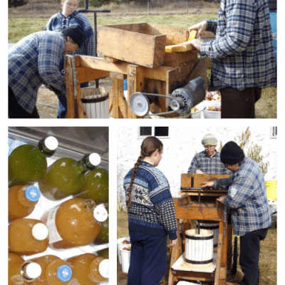 How to Make Apple Cider Vinegar from Scratch