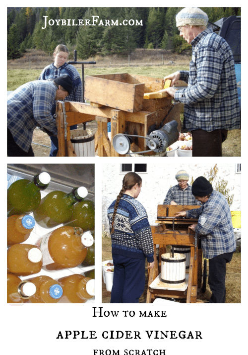 How to make apple cider vinegar
